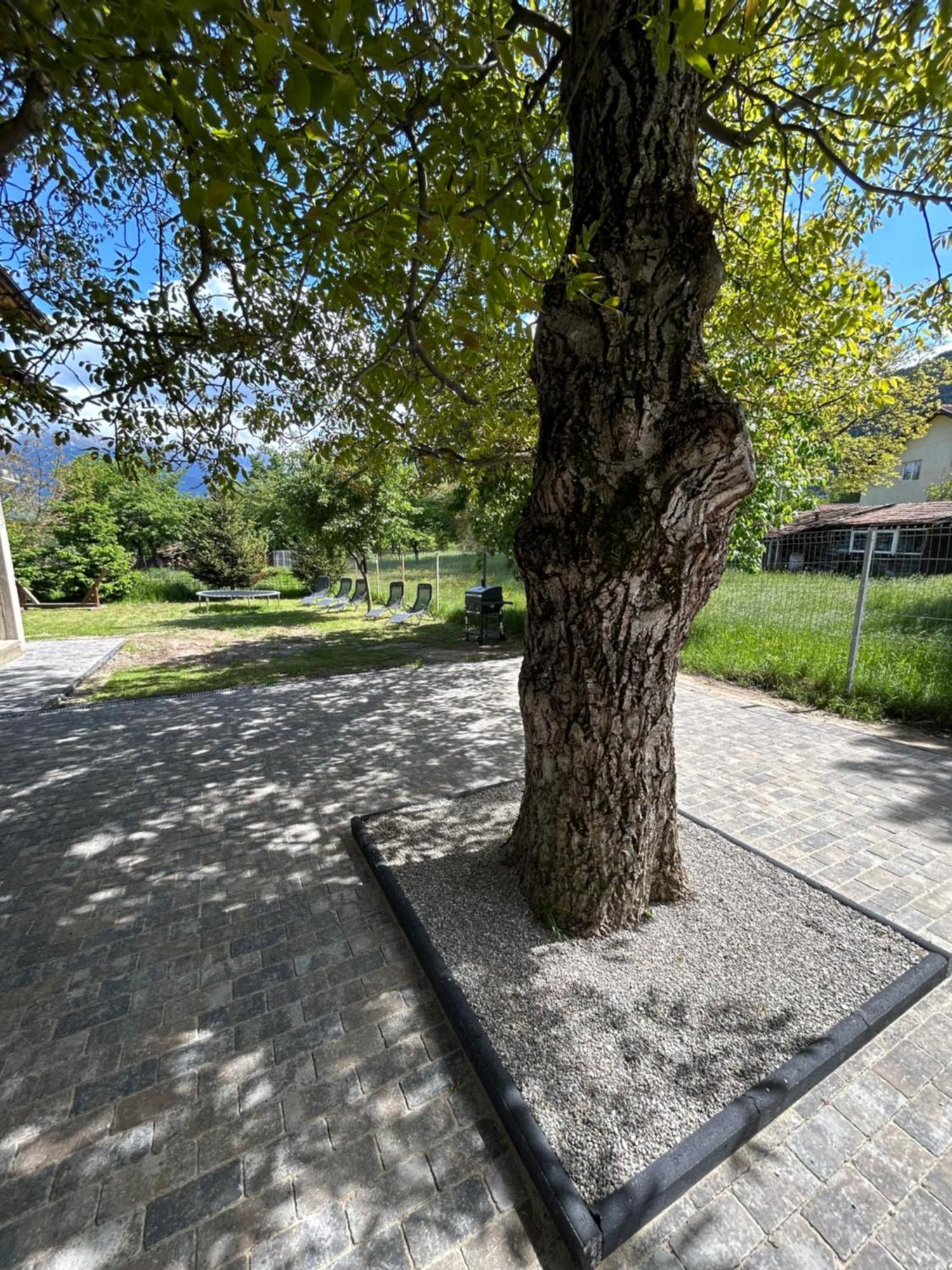 Casa Luca Ama Bran Villa Törcsvár Kültér fotó