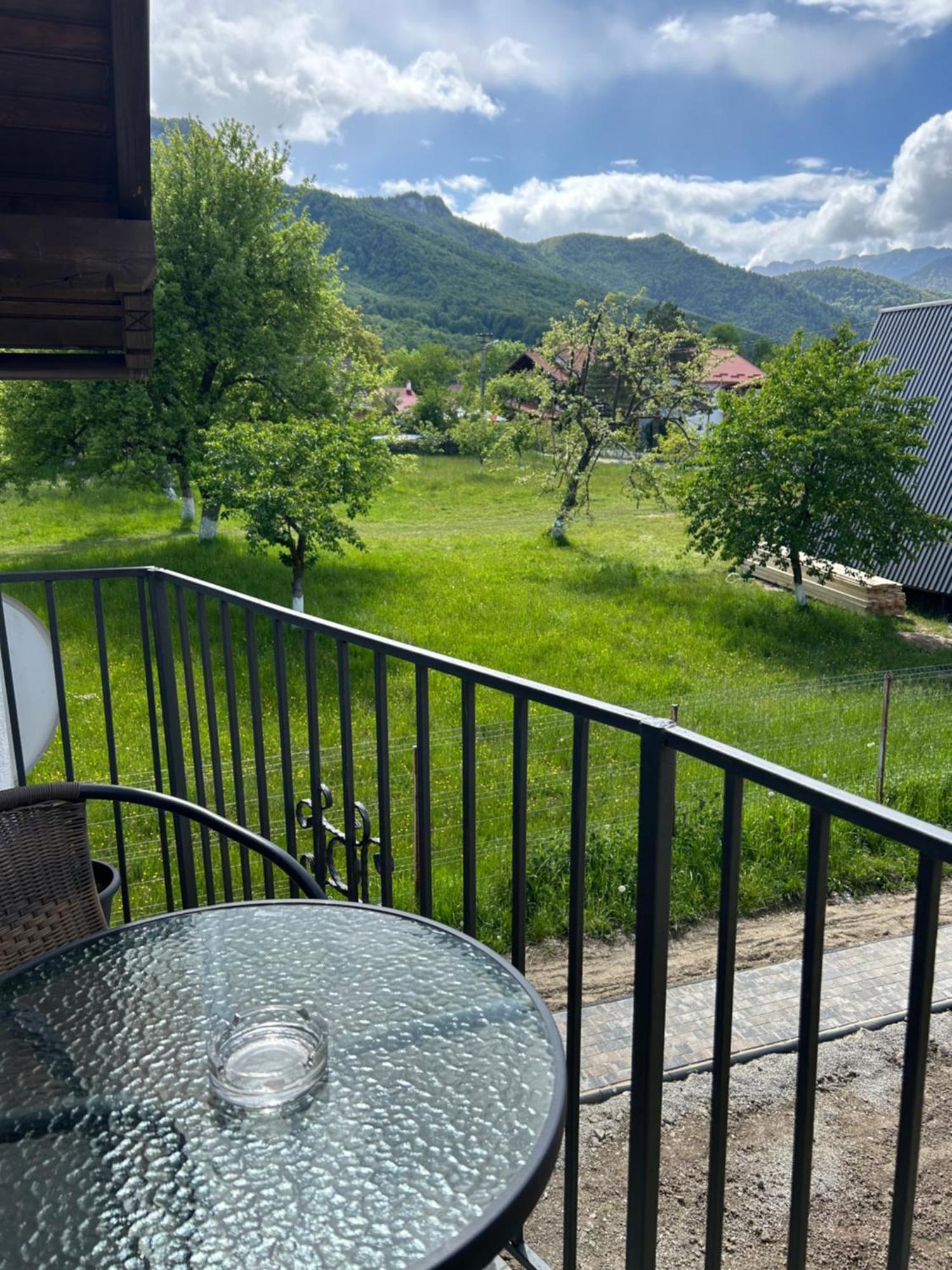 Casa Luca Ama Bran Villa Törcsvár Kültér fotó